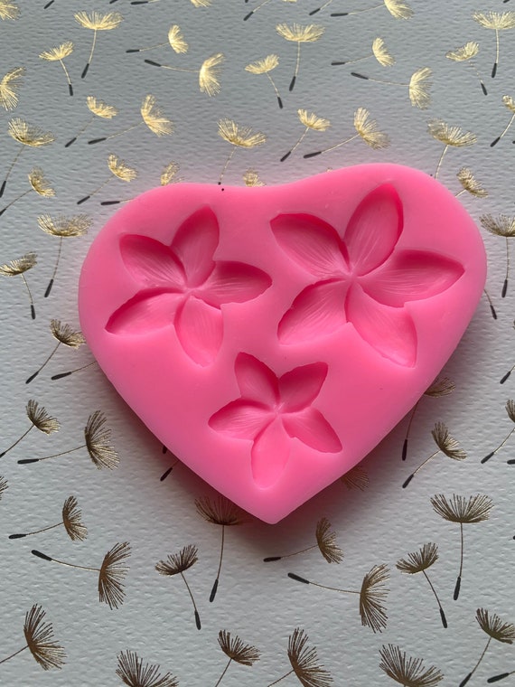 শিউলি ফুল সিলিকন ফনডেন্ট মোল্ড। shiuli flower Silicon fondant mold