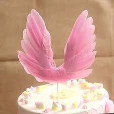 পাখনা টপার / pakhna feather topper