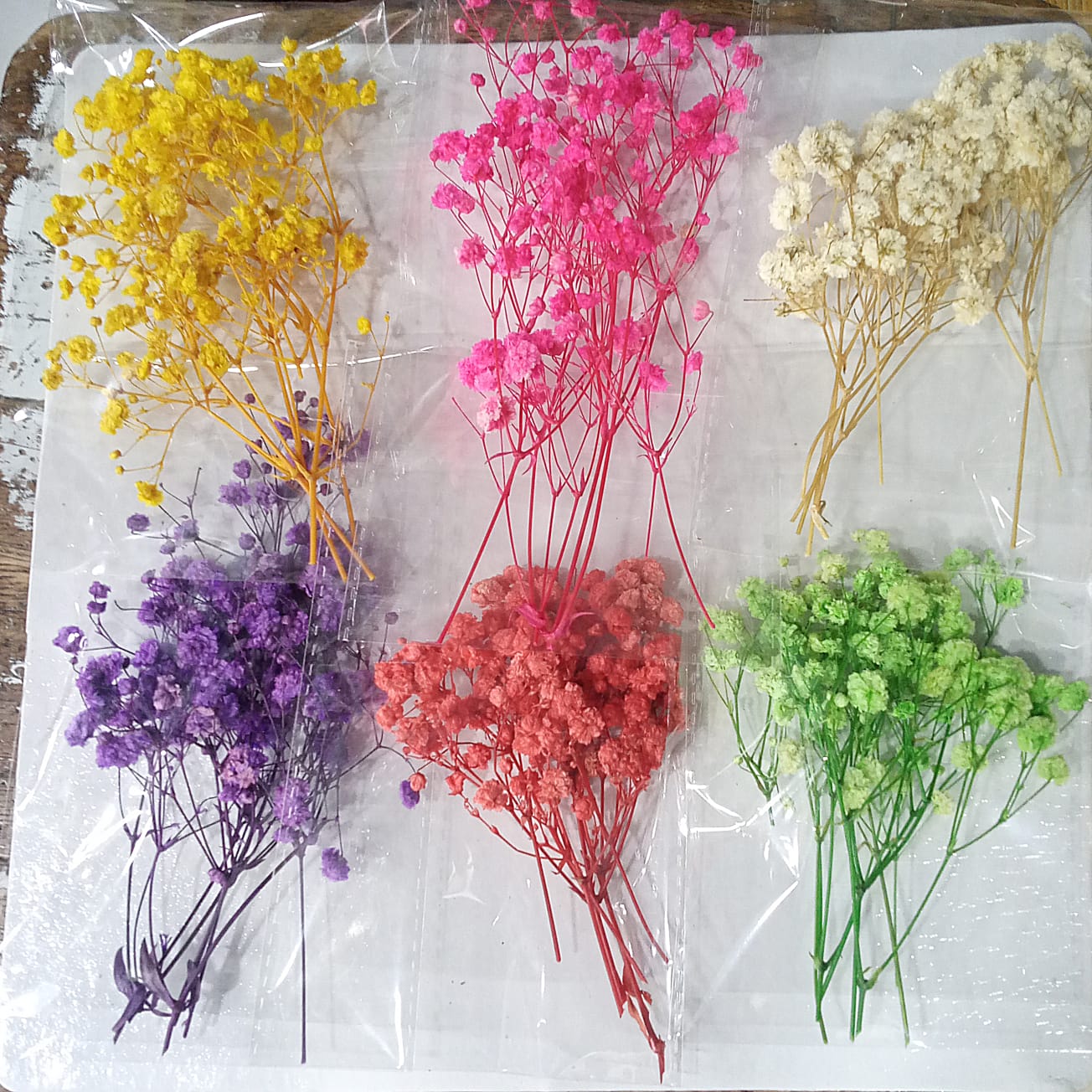 ড্রাই জিপসি ফুল / dry jipsy flower